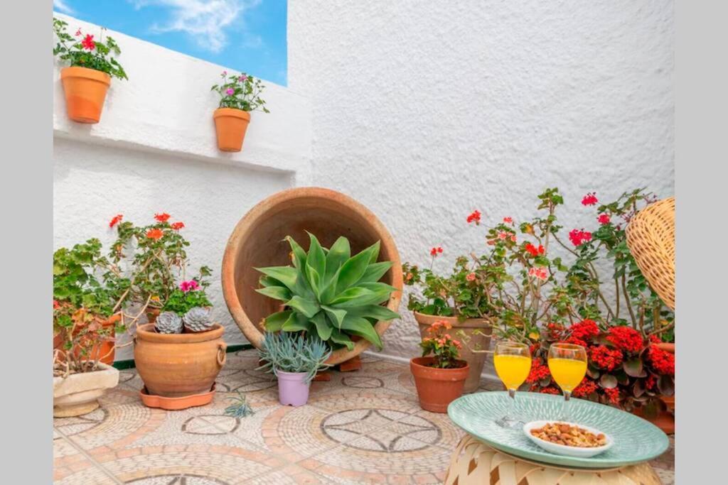 Villa Zalea Real -Super Ideal Grupos, Piscina ! Pizarra Dış mekan fotoğraf